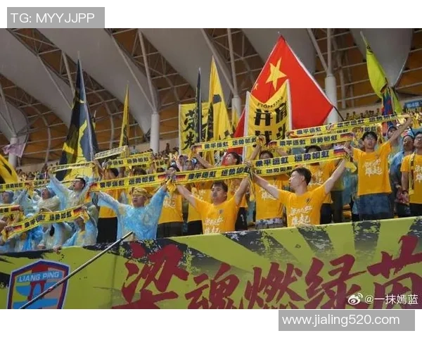 重庆排球队意识争议引发热议球迷与专家观点碰撞激烈